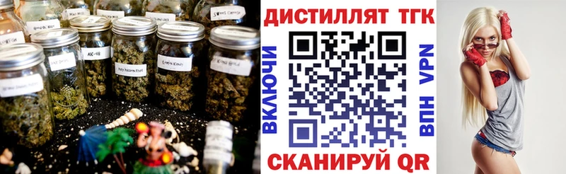OMG как зайти  Грязи  ТГК Wax 