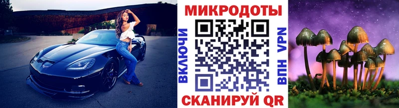 Галлюциногенные грибы Psilocybe Грязи