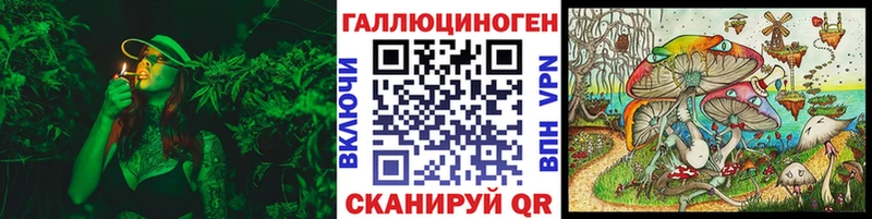 Псилоцибиновые грибы GOLDEN TEACHER  darknet Telegram  Грязи 