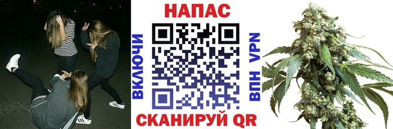 Марихуана Amnesia  как найти наркотики  Грязи 